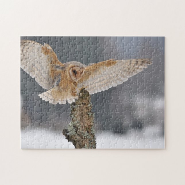 Barn owl landing to spike jigsaw puzzle (Horizontal)