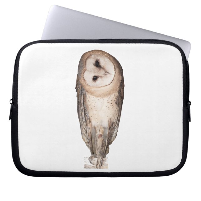 Barn owl laptop sleeve (Front)