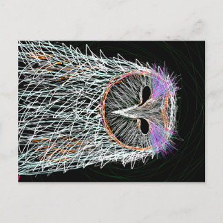 barn owl line art postcard