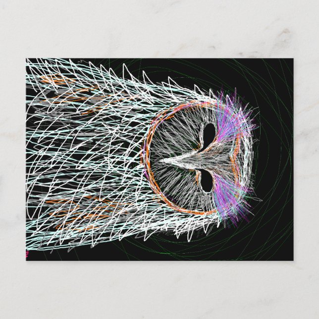 barn owl line art postcard (Front)