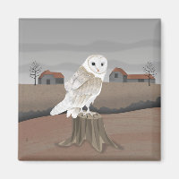Barn Owl