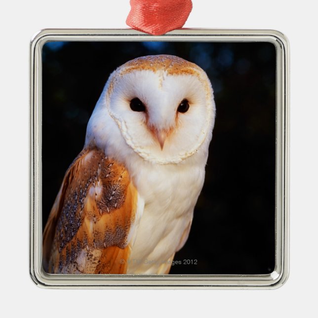 Barn Owl Metal Tree Decoration (Front)