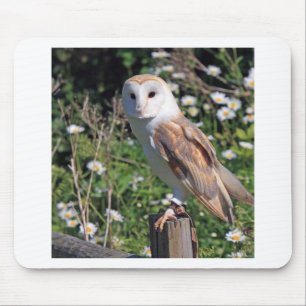 Barn Owl Mouse Mat