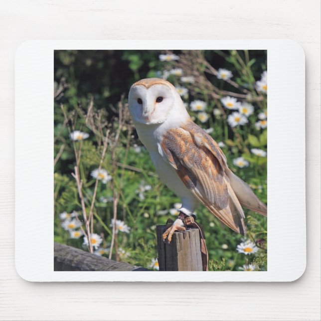 Barn Owl Mouse Mat (Front)