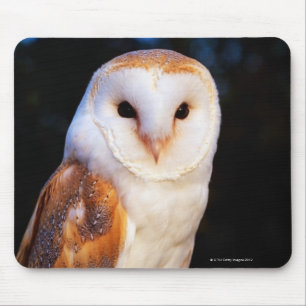 Barn Owl Mouse Mat