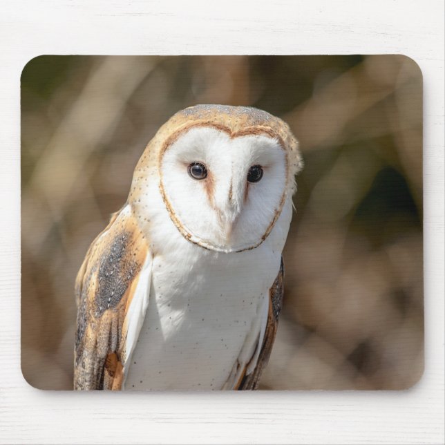 Barn Owl Mouse Mat (Front)