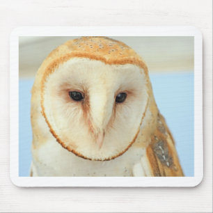 Barn owl mouse mat