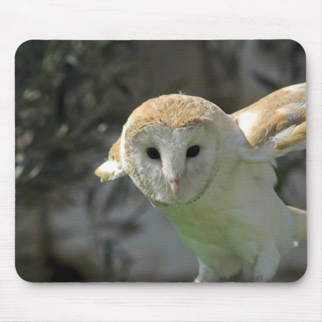Barn Owl Mouse Pad (Front)