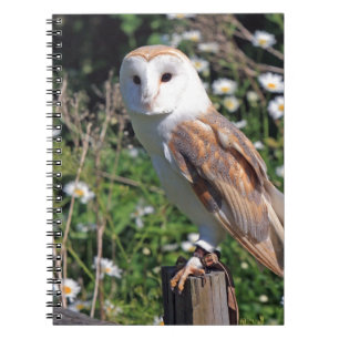 Barn Owl Notebook