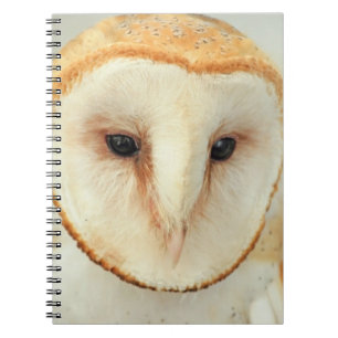 Barn Owl Notebook