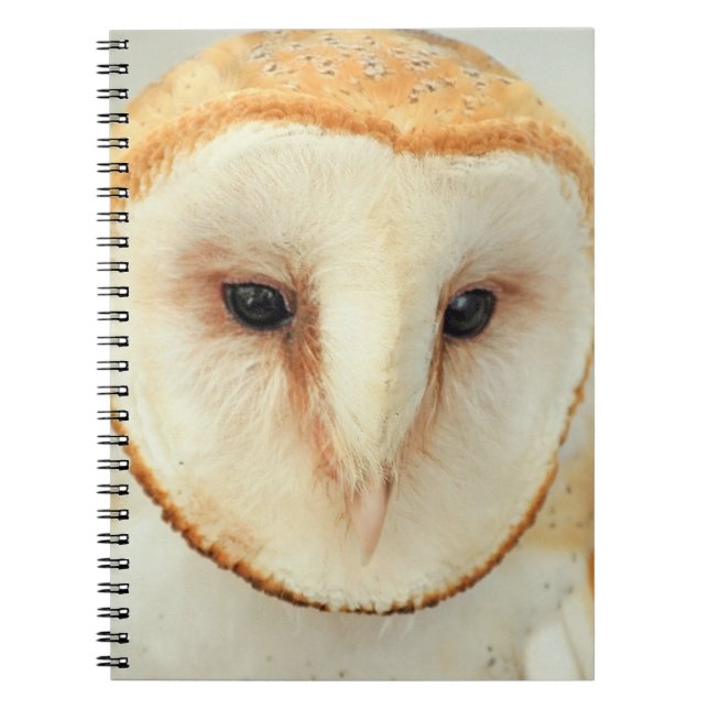 Barn Owl Notebook (Front)