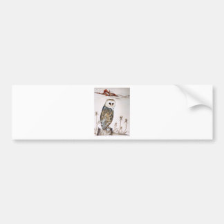 Barn Owl on the hunt Bumper Sticker