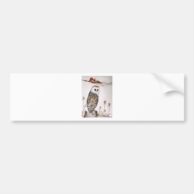 Barn Owl on the hunt Bumper Sticker (Front)