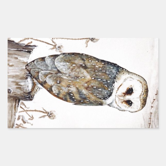 Barn Owl on the hunt Rectangular Sticker (Front)