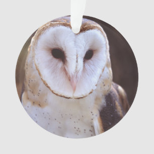 barn owl ornament