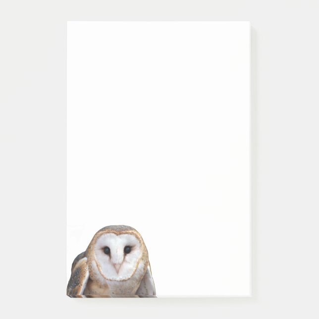 Barn Owl Photo 4x6 Notes Stationery (Front)