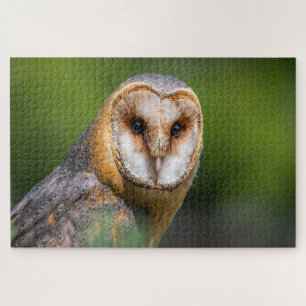 Barn owl photo jigsaw puzzle