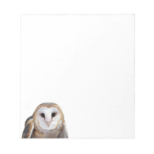 Barn Owl Photo Note Cards Stationery