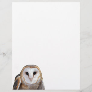 Barn Owl Photo Note Letterhead Stationery