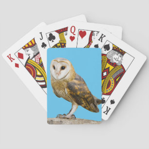 Barn Owl Playing Cards