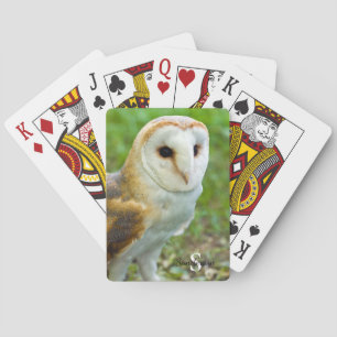 Barn Owl Playing cards