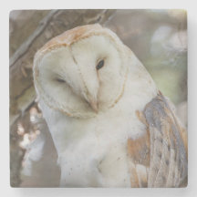 Barn Owl Portrait Stone Coaster