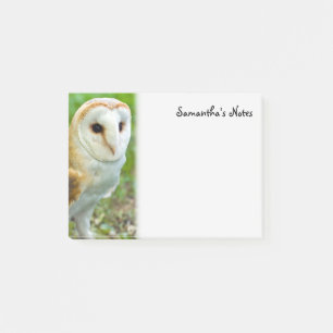 Barn Owl Post-It Notes