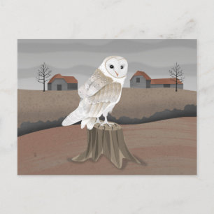 Barn Owl Postcard