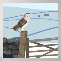 Barn owl Poster