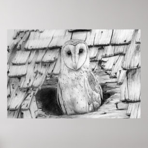 Barn Owl Poster
