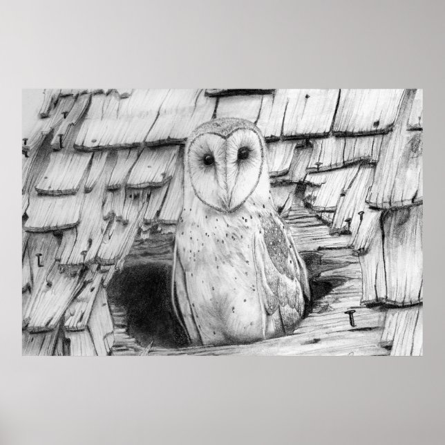 Barn Owl Poster (Front)