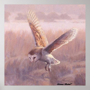 Barn Owl Poster