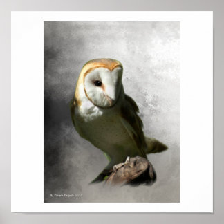 Barn Owl Print