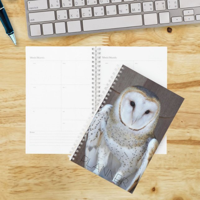 Barn Owl Raptor Photo Calendar | Planner (In Situ)