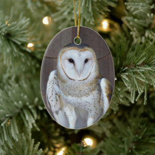 Barn Owl Raptor Photo Ceramic Tree Decoration