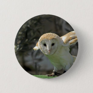 Barn Owl Round Button