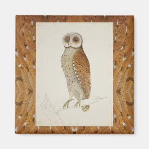 Barn owl rustic vintage nature illustration barred magnet