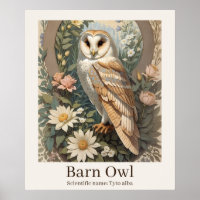 Barn Owl Scientific Name Wildlife
