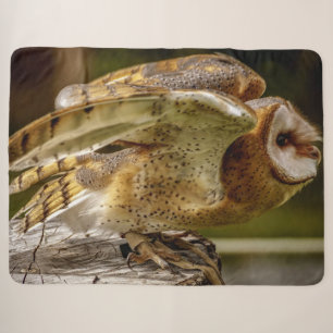 BARN OWL SHERPA BLANKET