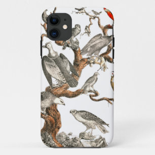 Barn Owl Snowy Bird Nature iPhone 11 Case