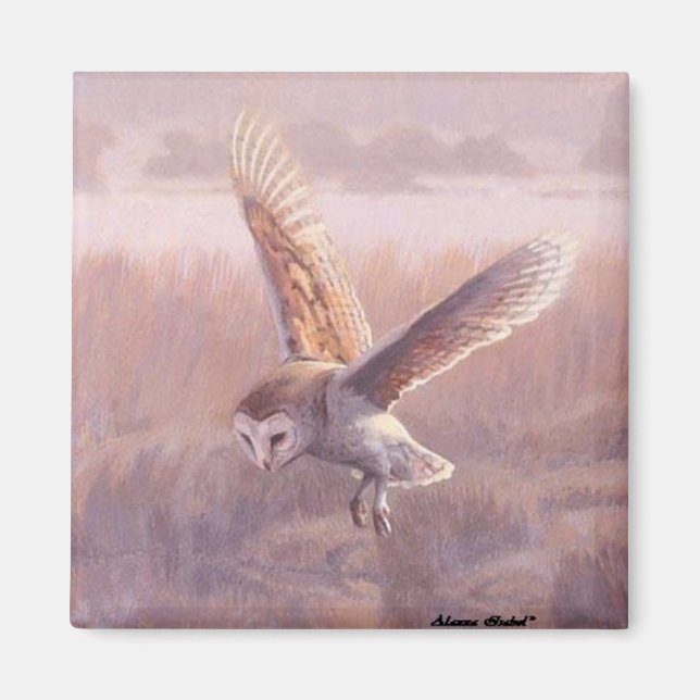 Barn Owl Square Magnet   (Front)