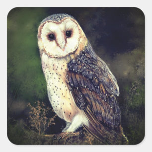 Barn Owl Sticker