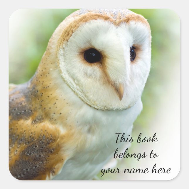Barn Owl "This book belongs to" sticker (Front)