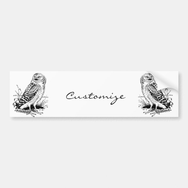 Barn Owl Thunder_Cove Bumper Sticker (Front)