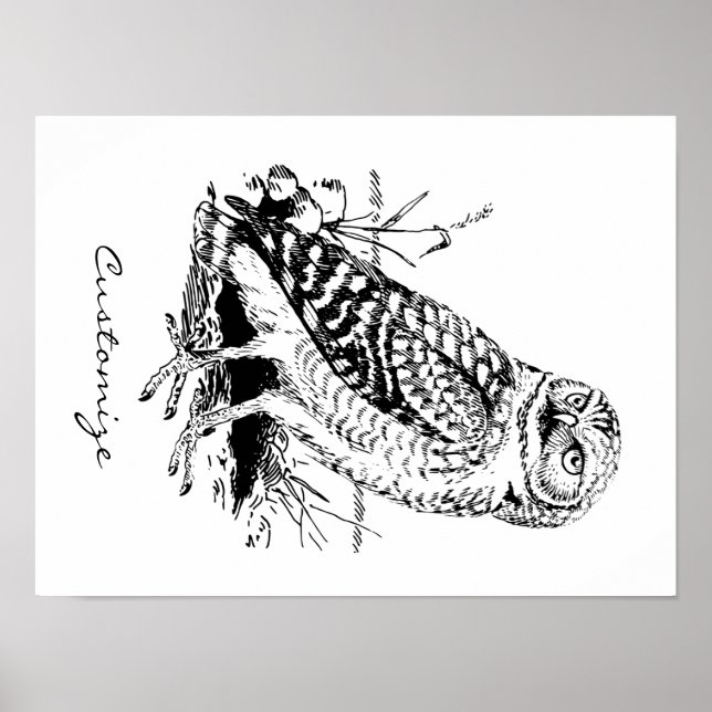 Barn Owl Thunder_Cove Poster (Front)