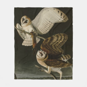 Barn Owl (Tyto alba) Audubon's Birds of America Fleece Blanket