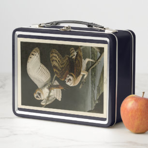 Barn Owl (Tyto alba) Audubon's Birds of America Metal Lunch Box