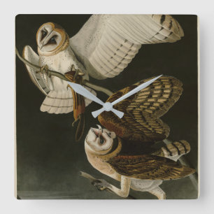 Barn Owl (Tyto alba) Audubon's Birds of America Square Wall Clock