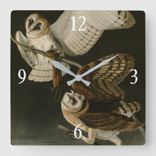Barn Owl (Tyto alba) Audubon's Birds of America Square Wall Clock