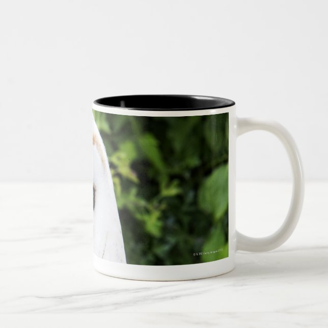Barn owl (Tyto Alba) on glove Two-Tone Coffee Mug (Right)
